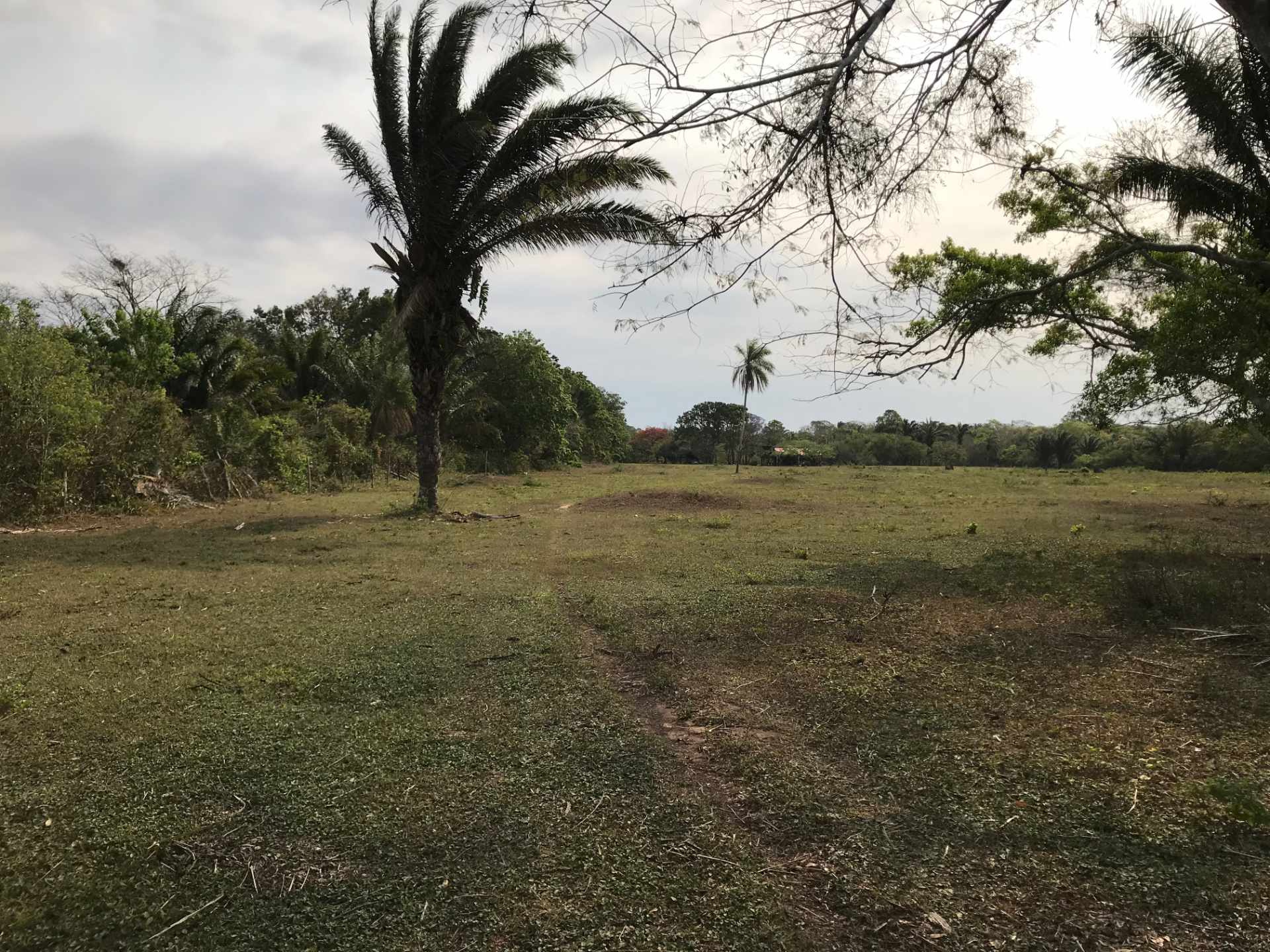 Terreno en VentaUrubó zona Norbélgica atrás de Puerto Santa Cruz.  Foto 14
