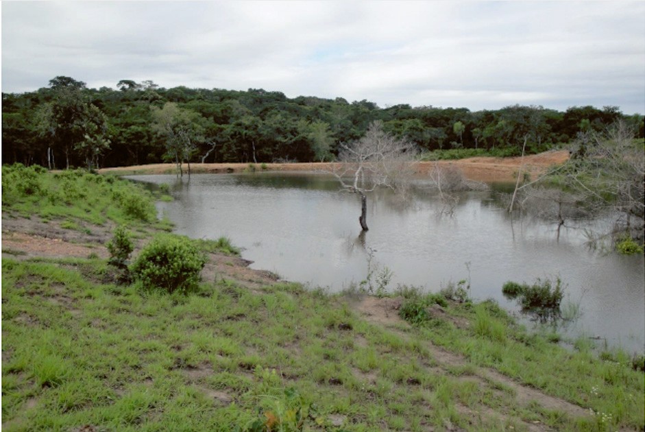 Terreno en VentaPropiedad ganadera en San Javier, 24km al oeste camino hacia El Puente    Foto 10