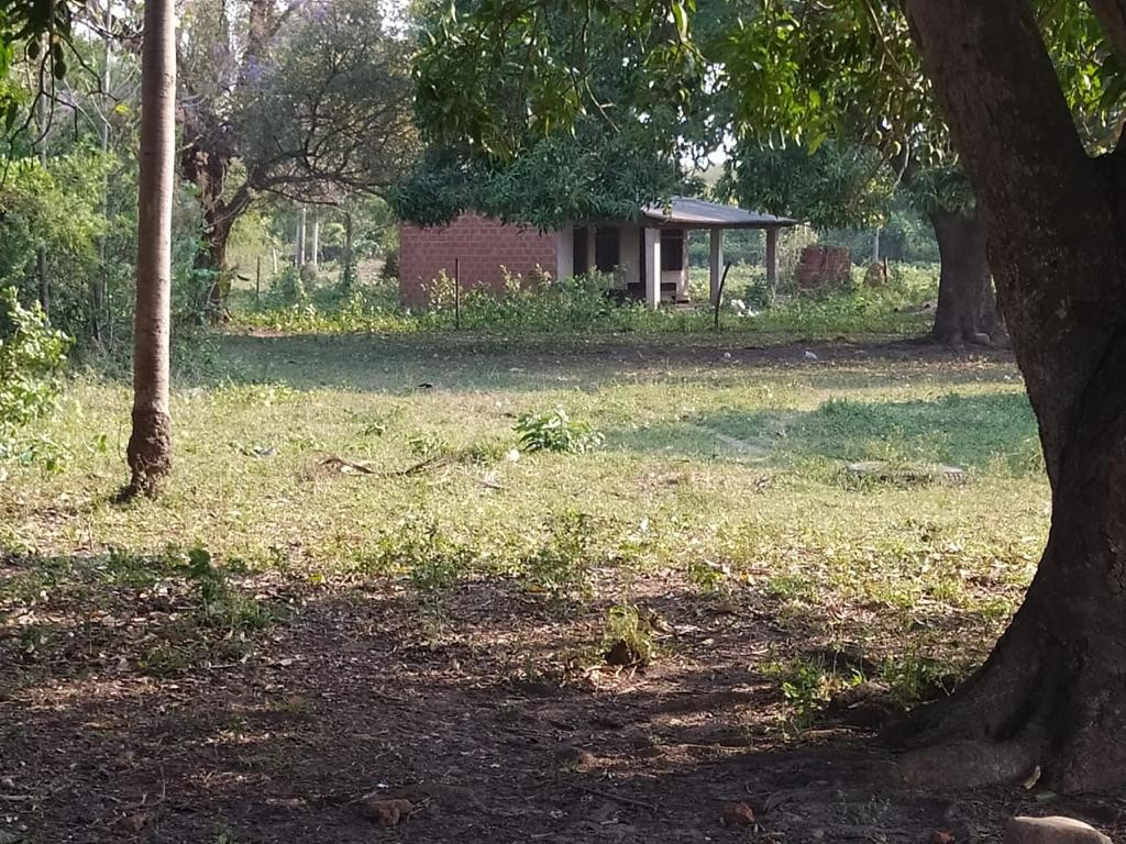 Terreno Warnes - PROPIEDAD GANADERA URBANIZABLE Foto 4