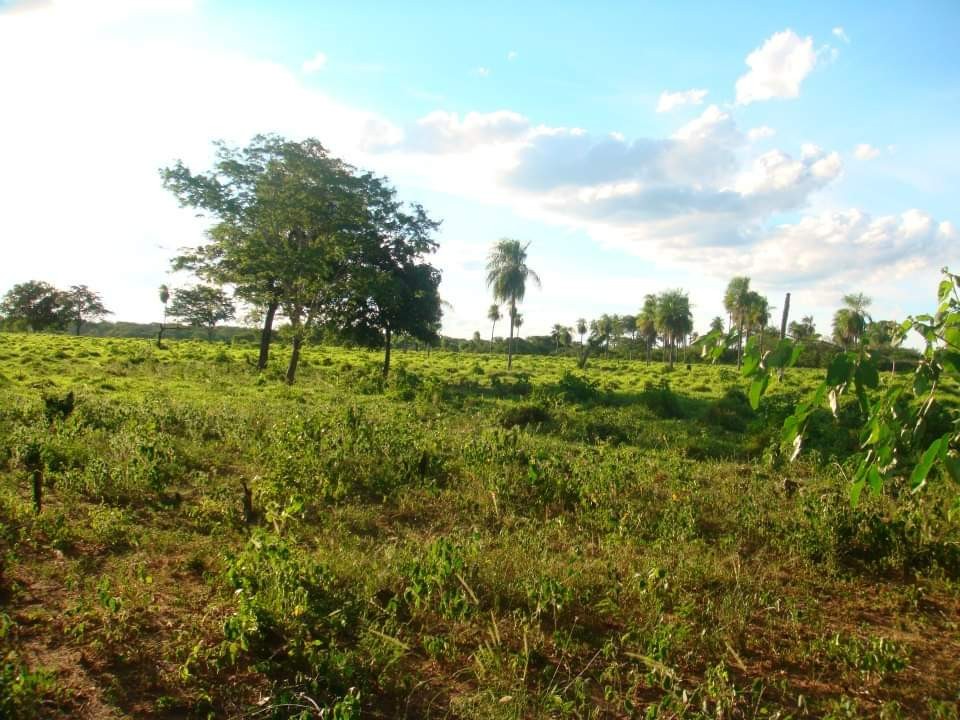 Terreno en VentaROBORÉ frente a rotonda de ingreso y gasolinera, sobre Carretera Bioceánica    Foto 18