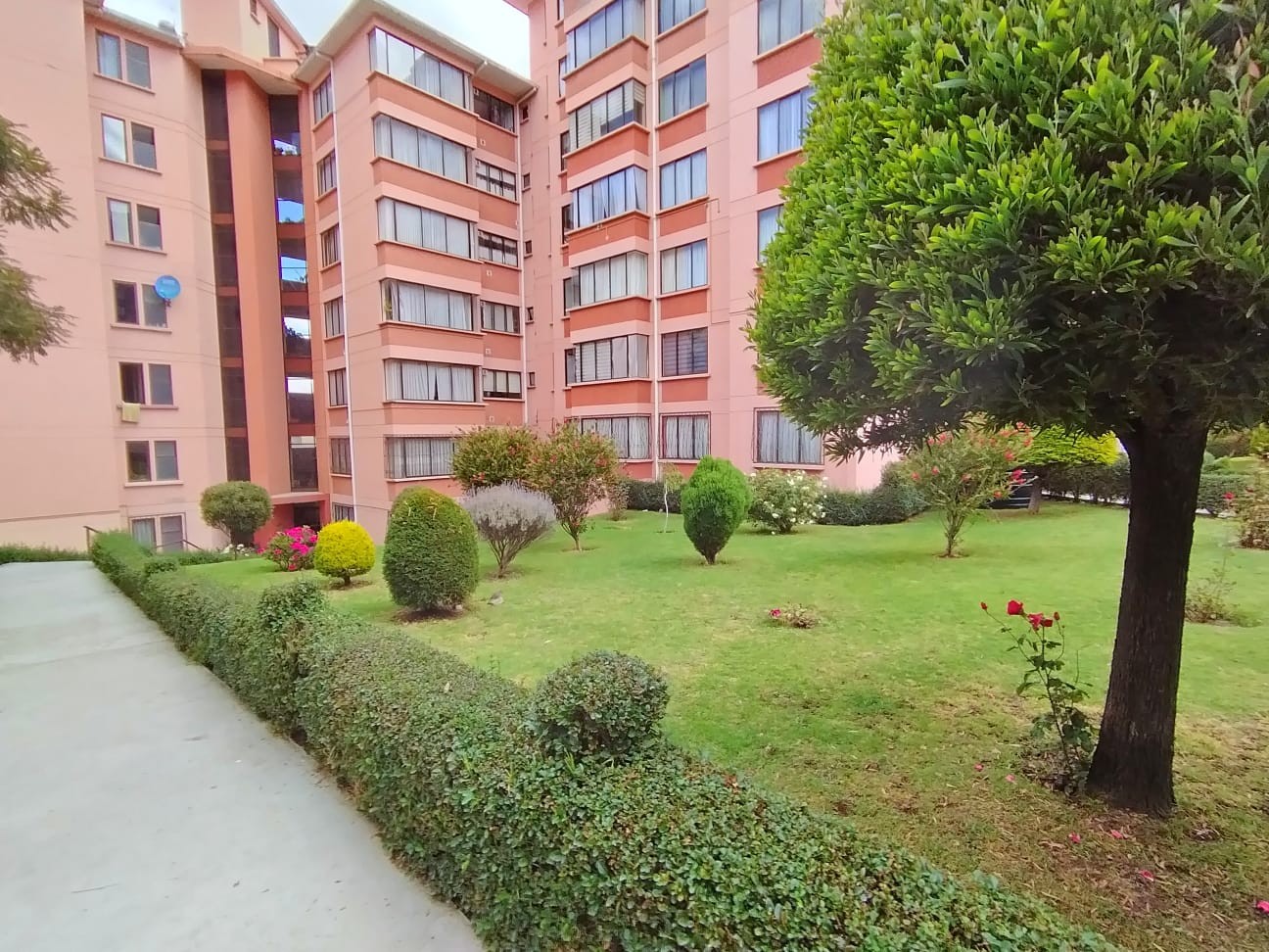 Departamento en AlquilerLos Pinos, frente a Impuestos Nacionales, zona los nuevos Pinos 3 dormitorios 4 baños 1 parqueos Foto 16