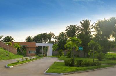 82cc12c3f271a8c52c484be911f1e067f786a1