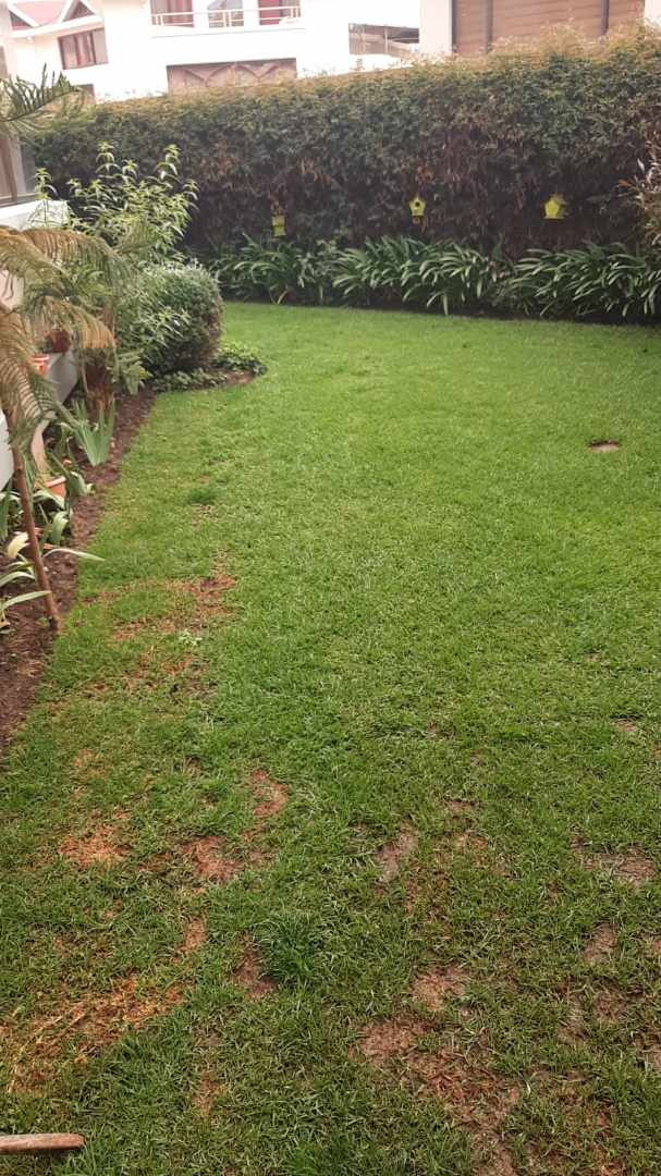 Departamento en VentaCalle 14 Calacoto 3 dormitorios 4 baños 2 parqueos Foto 28