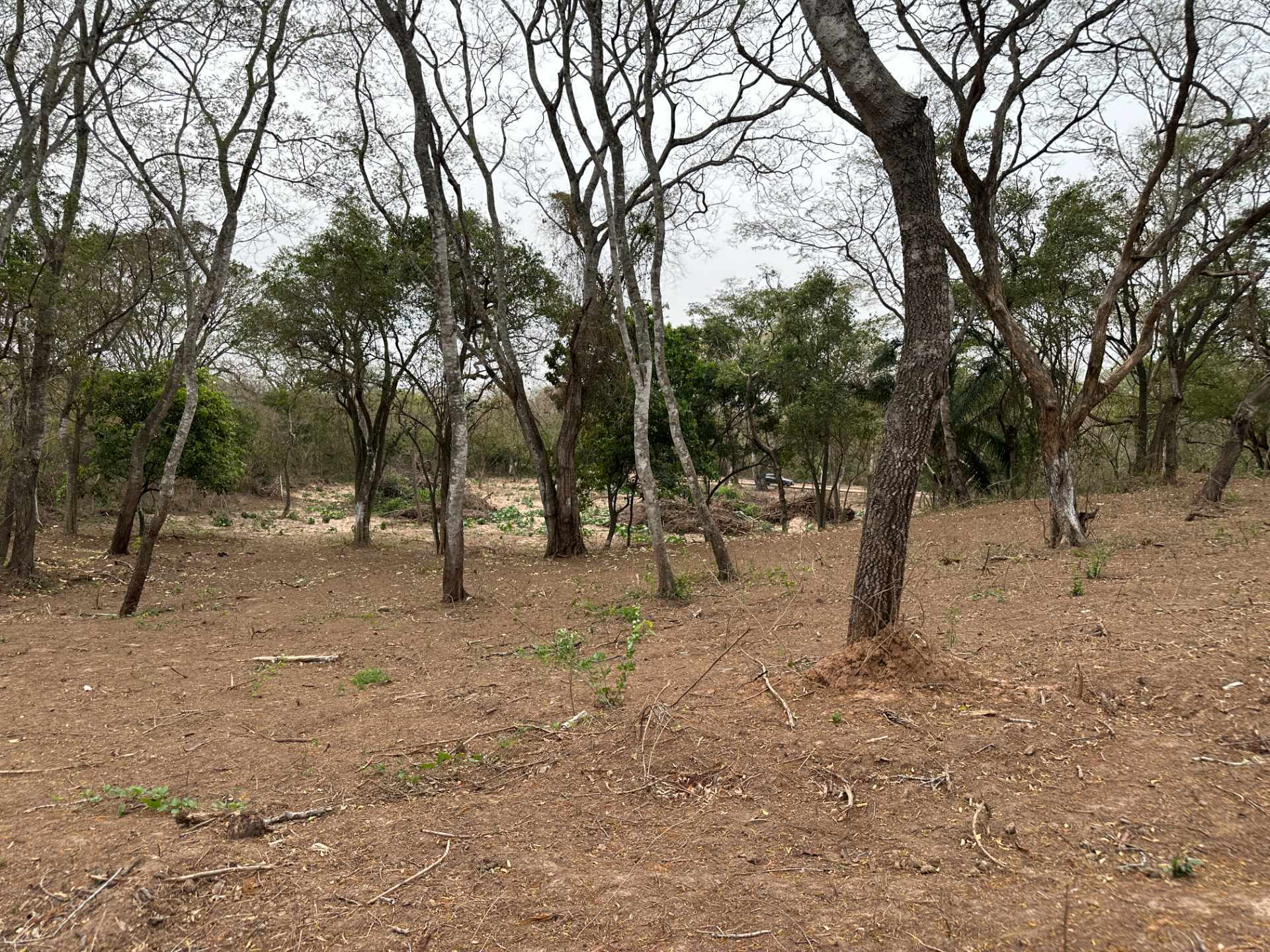 Terreno en Urubó en Santa Cruz de la Sierra    Foto 3