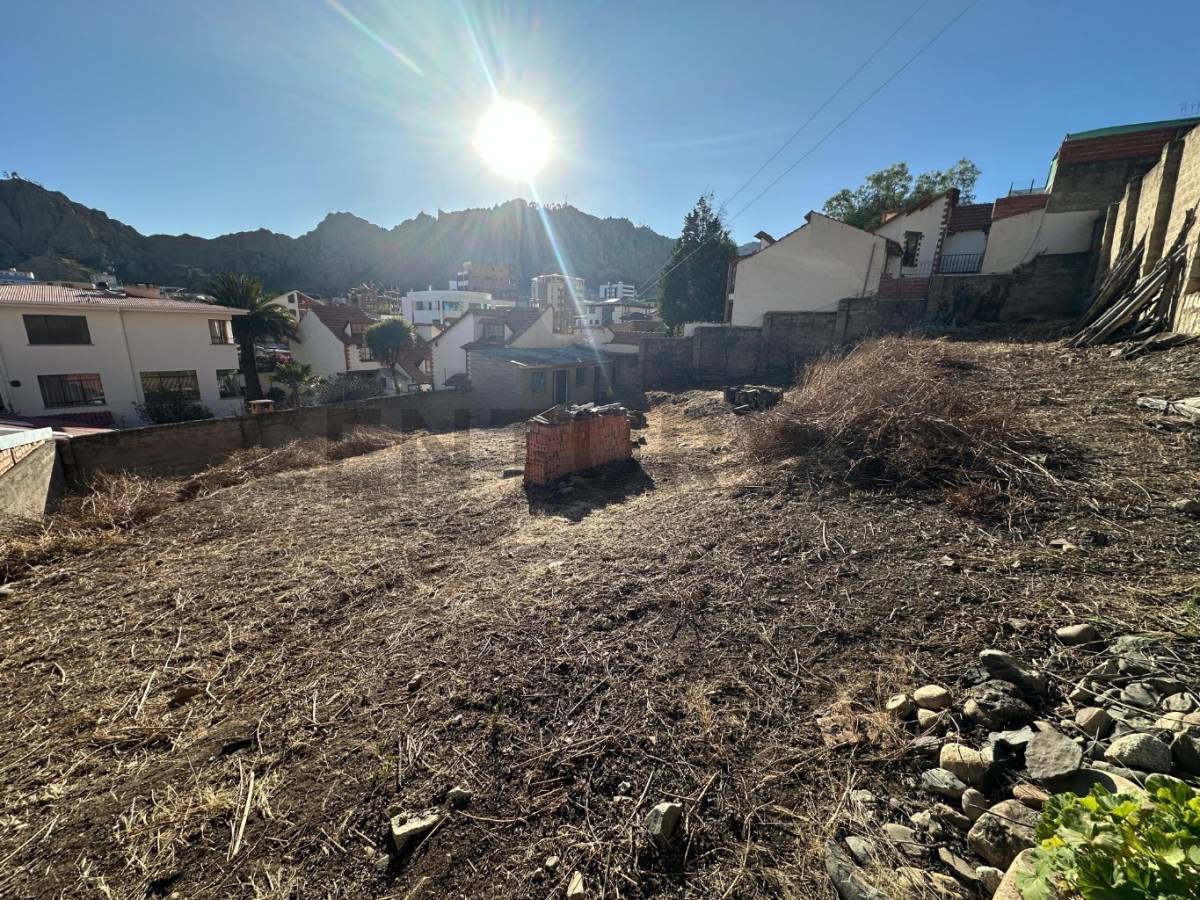 Terreno en AlquilerIRPAVI CALLE PEDRAZA ALTURA C/9 Foto 4
