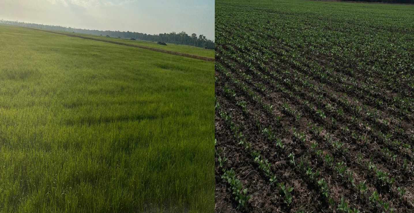 Quinta propiedad agrícola En Venta Propiedad Agrícola con Potencial Ganadero en Marban - Beni Foto 6