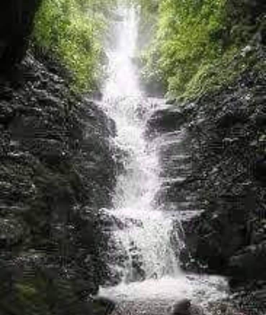 Casa Coroico Yungas Foto 4