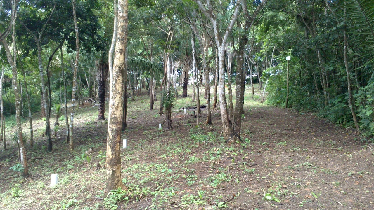 Terreno Buenavista - Resort Quintas Buena Vista Foto 5