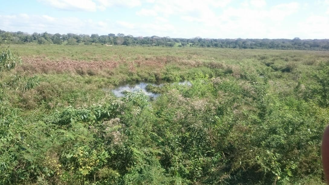 Terreno en VentaROBORÉ frente a rotonda de ingreso y gasolinera, sobre Carretera Bioceánica    Foto 10