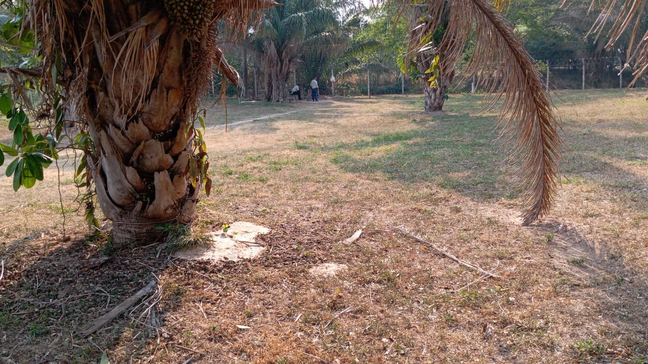 Terreno en VentaCondominio Colinas 2  La Canada , eL Urubo Foto 12