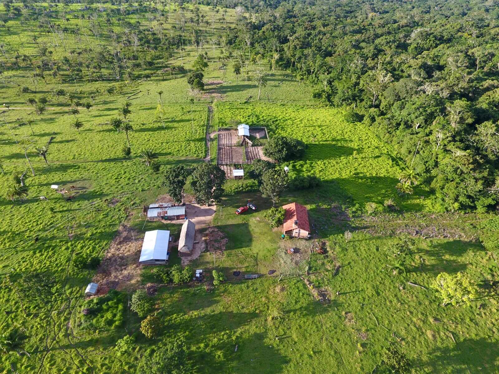 Quinta propiedad agrícola En Venta: 500 Hectáreas Ganaderas en San Javier Foto 2