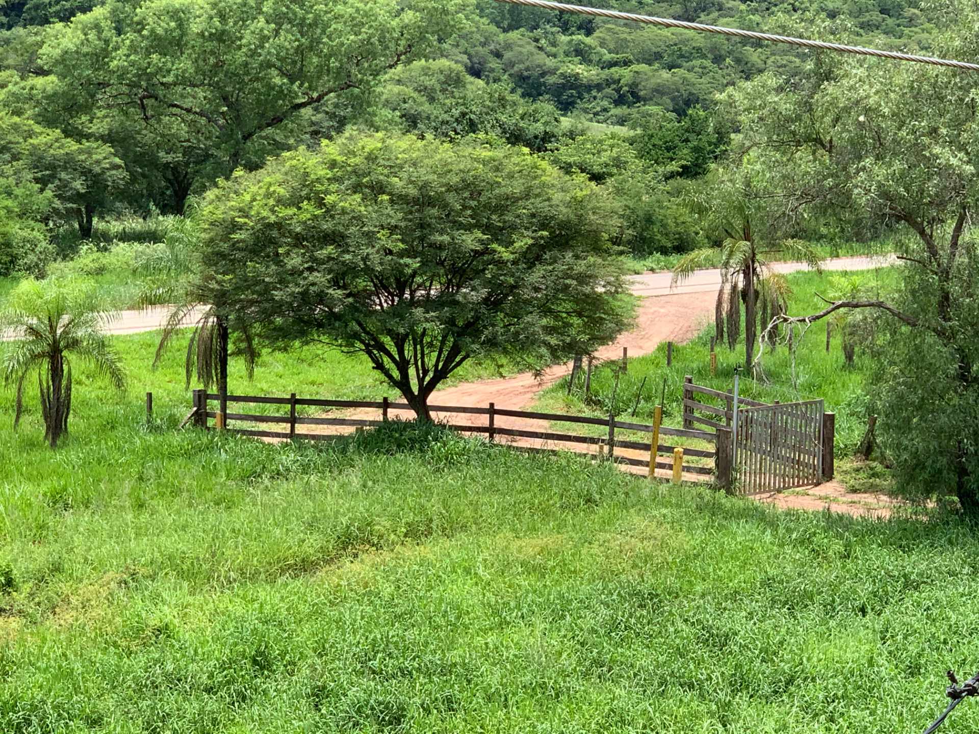 Quinta propiedad agrícola Camiri Foto 4