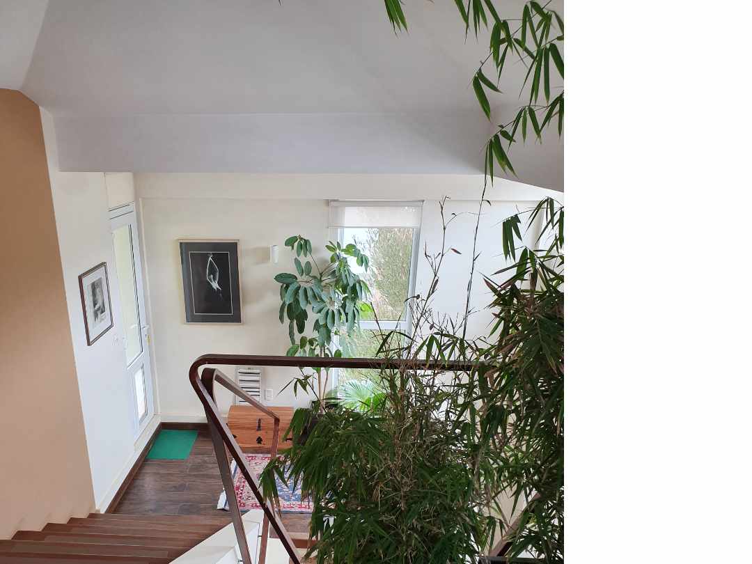 Casa en Achumani en La Paz 3 dormitorios 3 baños 2 parqueos Foto 13