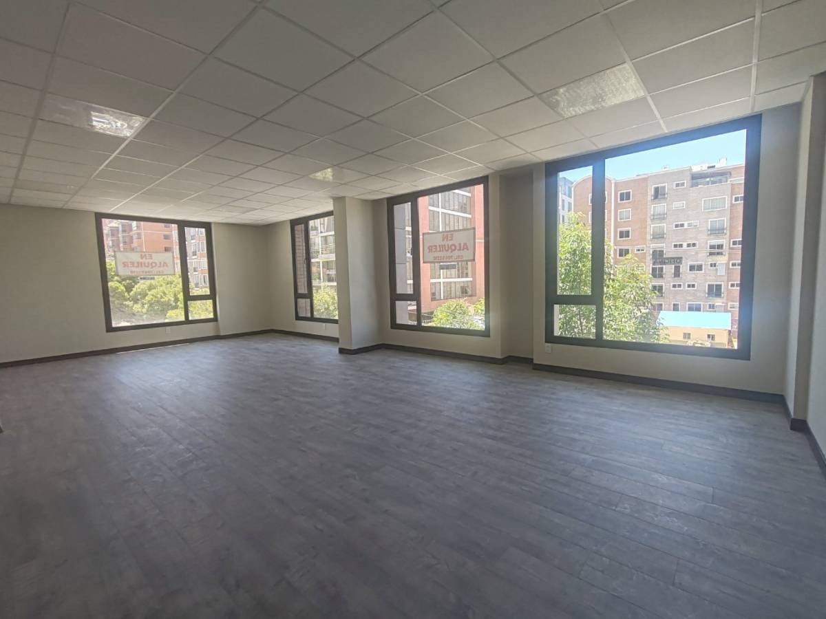 Oficina en AlquilerCALACOTO, CALLE 17 1 dormitorios 1 baños  Foto 3