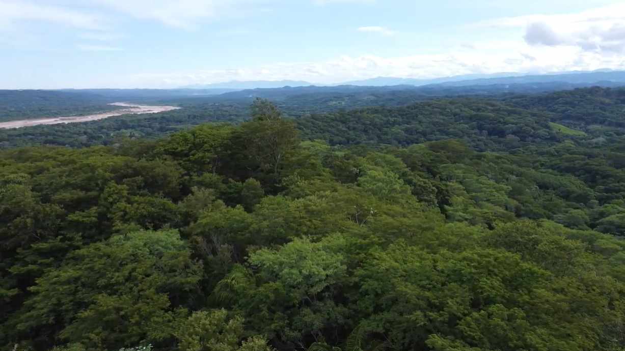 Quinta propiedad agrícola en VentaPropiedad Urbana en Porongo  1 baños  Foto 5