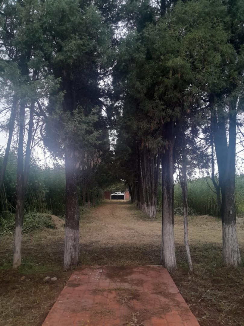 Terreno en Miraflores en Tarija    Foto 3