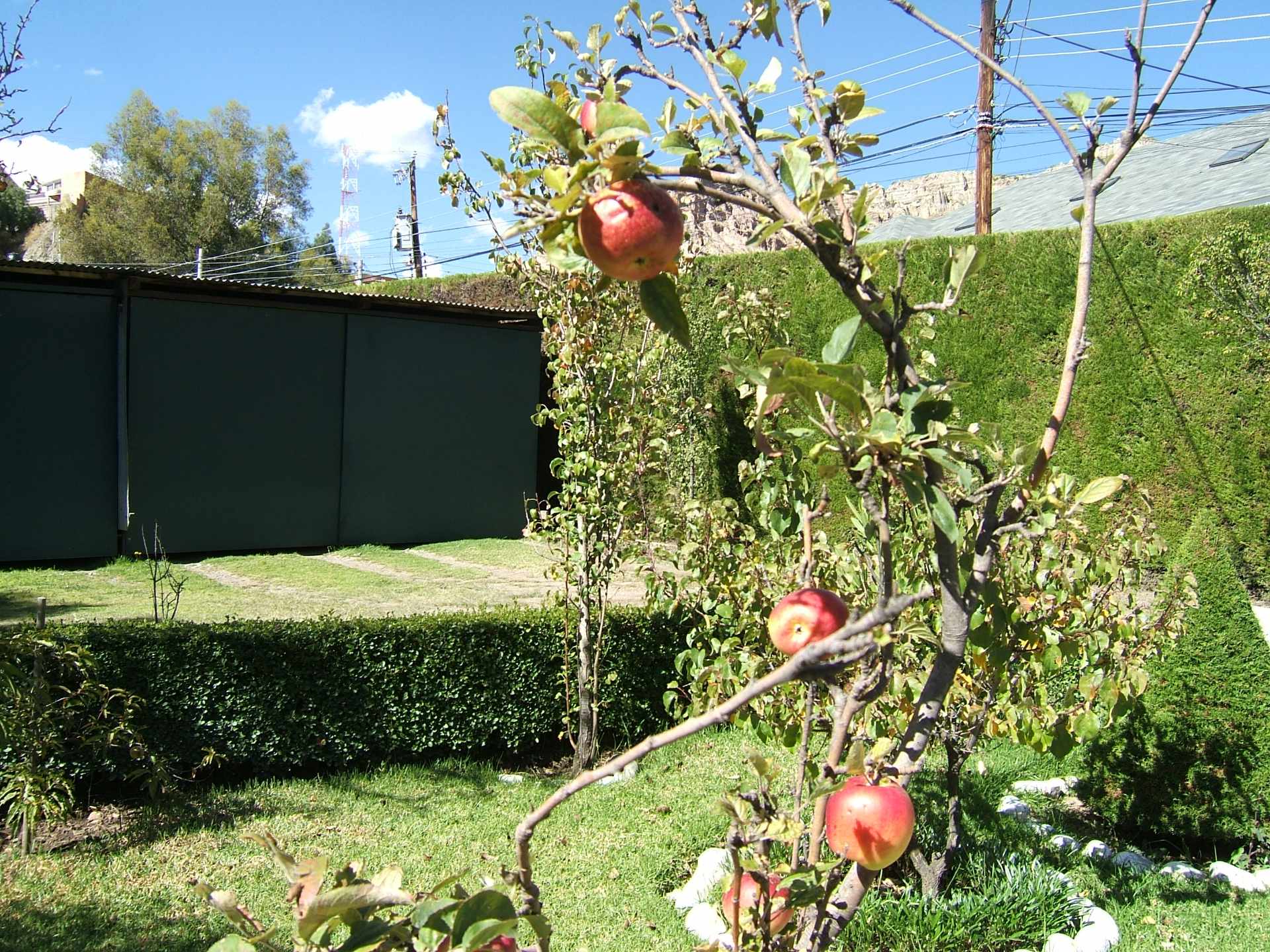 Casa en VentaLa Florida cerca a La Salle y SAS 7 dormitorios 7 baños 6 parqueos Foto 15