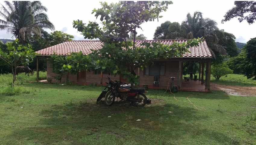 Terreno en VentaPropiedad ganadera en San Javier, 24km al oeste camino hacia El Puente    Foto 3