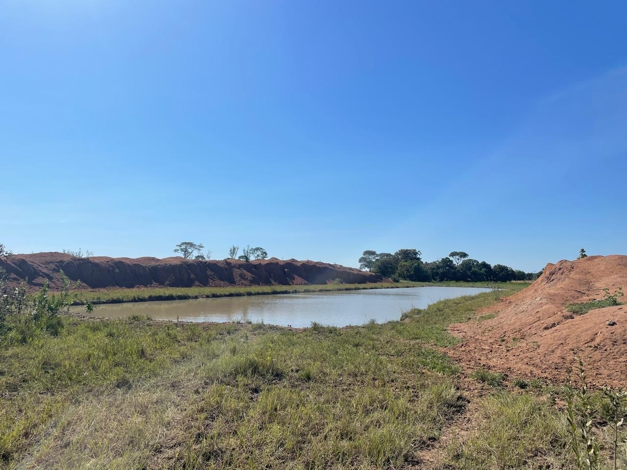 Quinta propiedad agrícola en VentaEn Venta: 13.720 Ganaderas con potencial Agrícola en SIV Foto 3