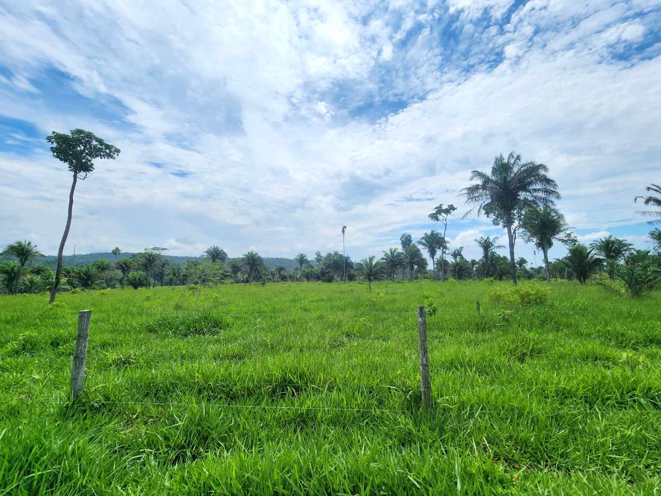 Quinta propiedad agrícola en VentaPROPIEDAD GANADERA EN EL MUNICIPIO DE SAN JAVIER Foto 8