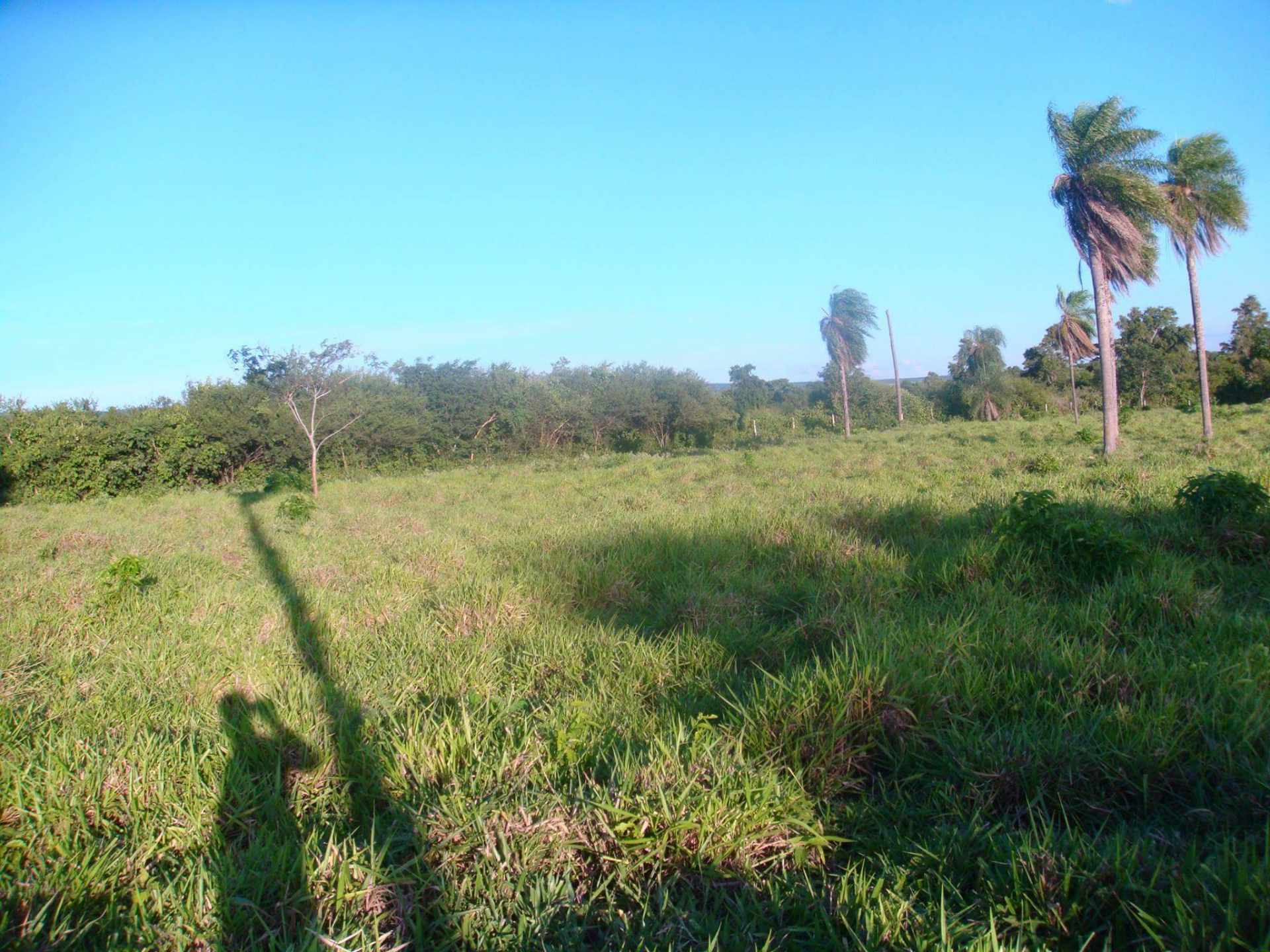 Terreno en VentaROBORÉ frente a rotonda de ingreso y gasolinera, sobre Carretera Bioceánica    Foto 3