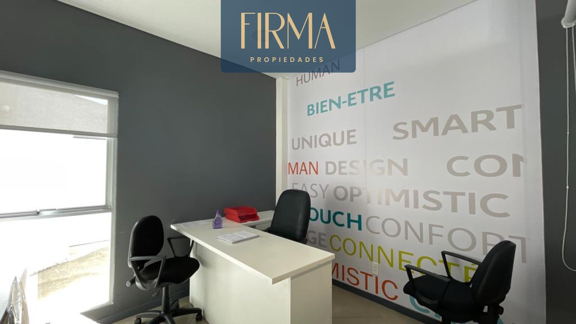 Local comercial LOCAL COMERCIAL EN CALACOTO LISTO PARA FUNCIONAR Foto 4