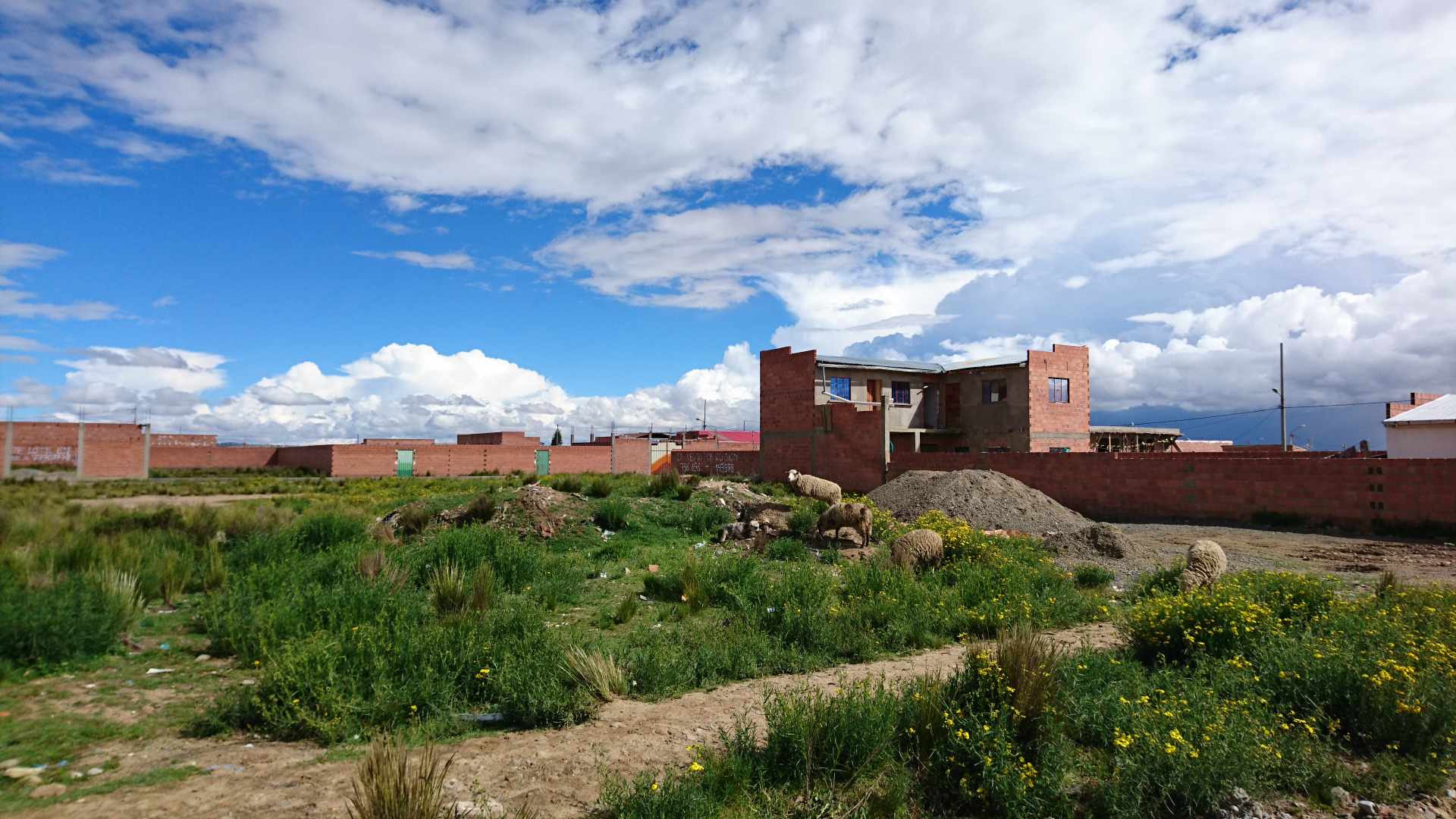 Terreno en VentaEl Alto, distrito 7 a lado del Centro De Mantenimiento De Senkata De La Armada Boliviana Foto 1