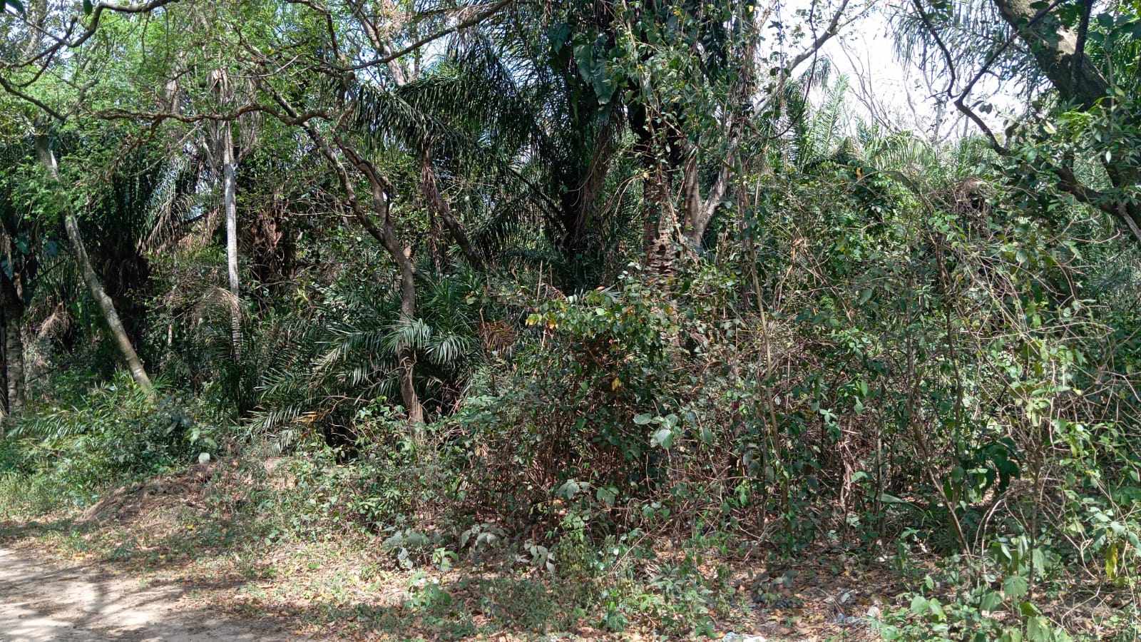 Terreno en VentaBonito terreno de 720m2 en la urbanizacion  Valle Sanchez 2    Foto 4