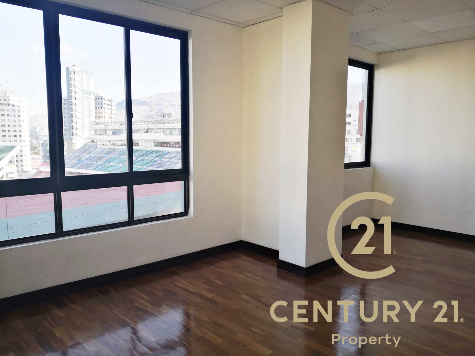 Oficina Av. Hugo Estrada Edificio Torre Galeno Foto 14