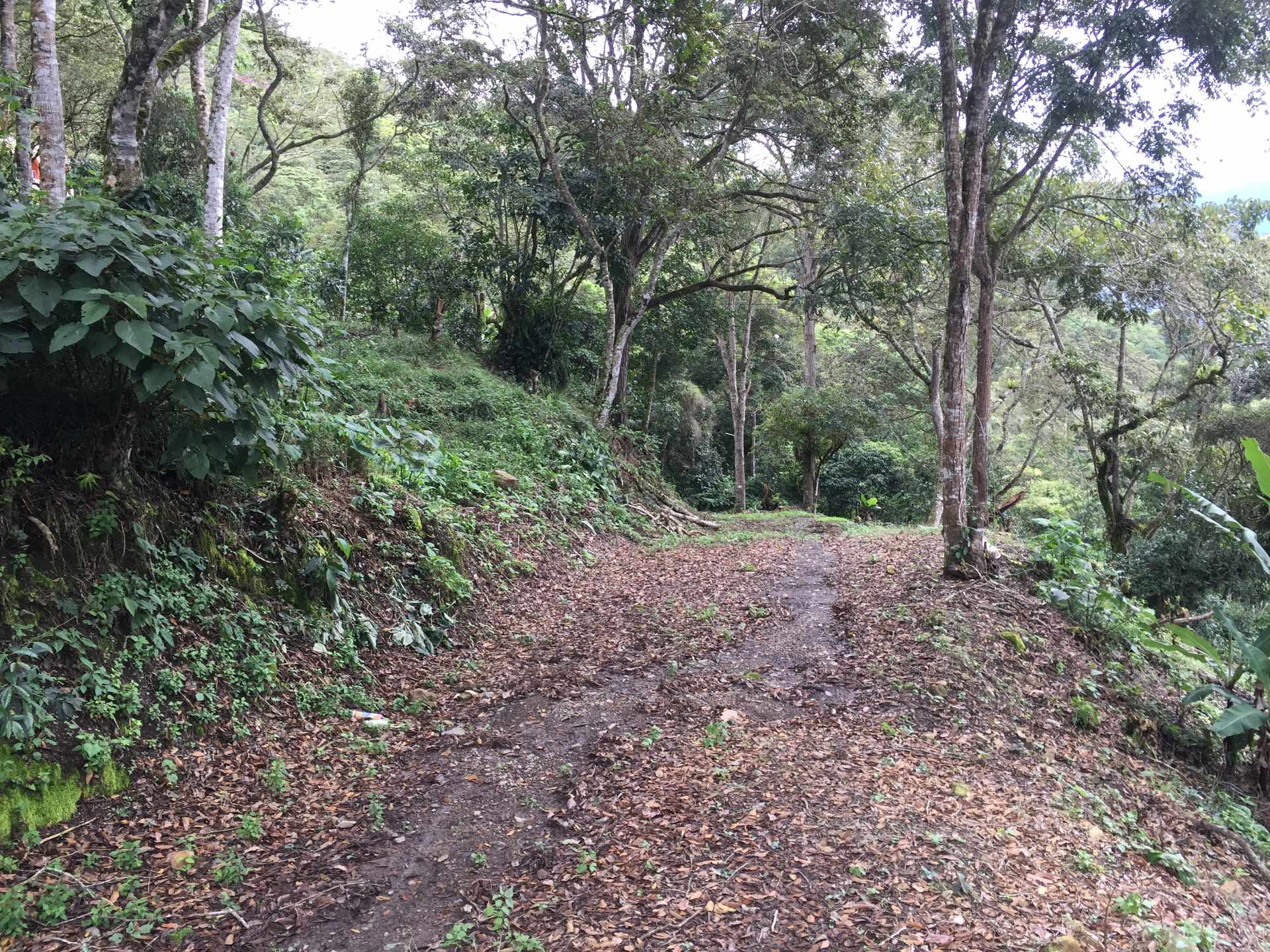 Terreno Coroico Foto 11