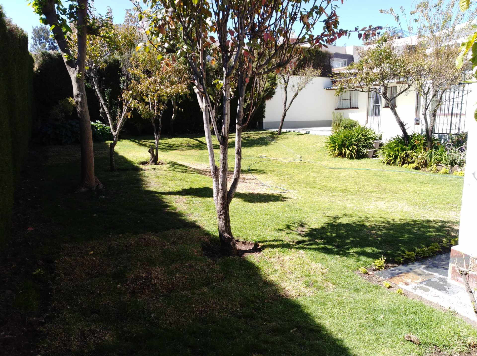 Casa en AlquilerCALACOTO calle 16 a 1/2 cuadra de la Av. Julio C. Patiño.  Foto 28