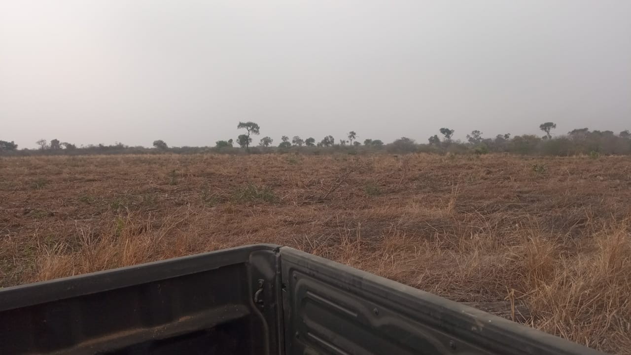 Quinta propiedad agrícola en VentaLinda propiedad  agricola  de 604ha por Pailon Sur, 70km entrando    Foto 20