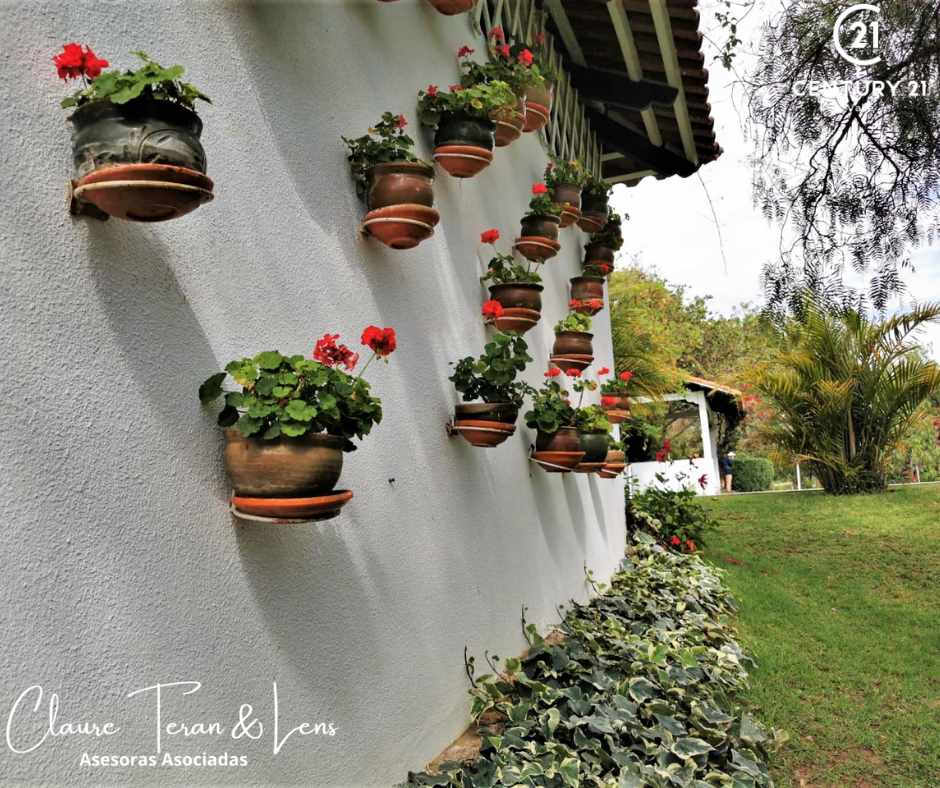 Quinta propiedad agrícola en VentaCASA DE CAMPO - APOTE - TIQUIPAYA - 3879 m2 de terreno 3 dormitorios 4 baños 3 parqueos Foto 12