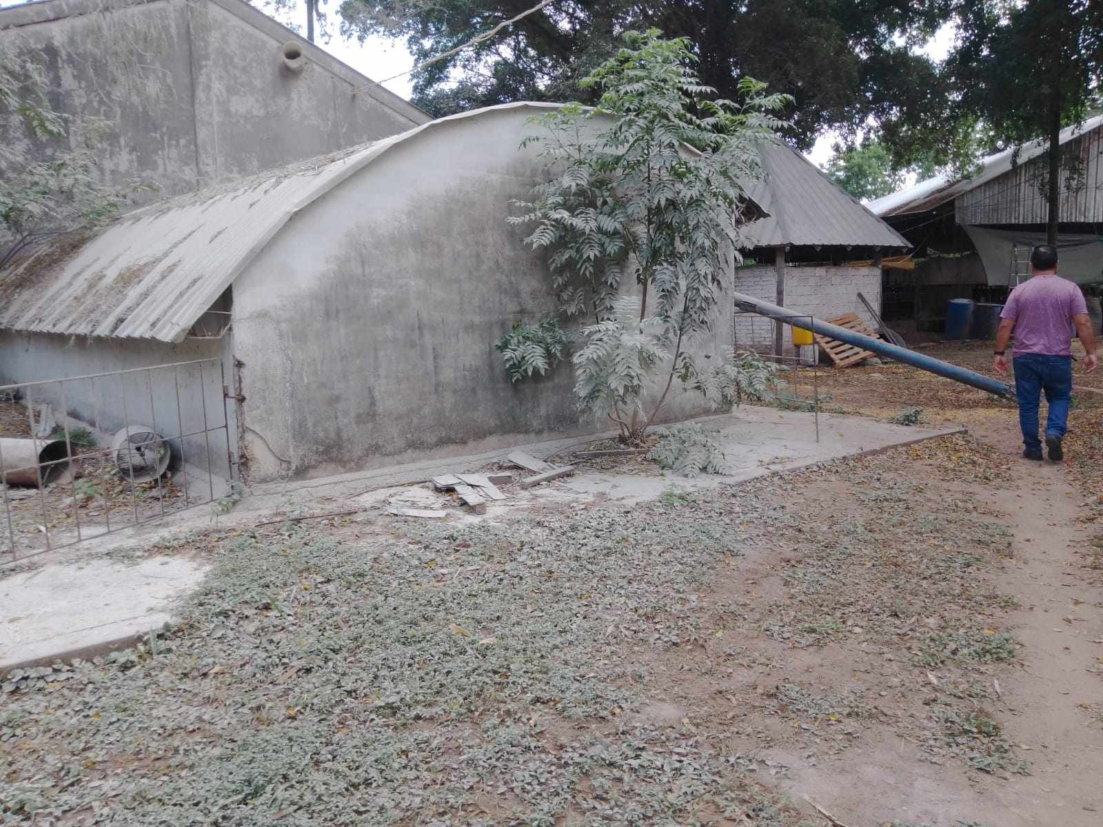 Quinta propiedad agrícola en VentaCOTOCA, ZONA SUE ESTE  Foto 20