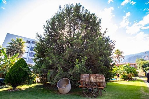 Casa Calle Cochabamba Tiquipaya Foto 12