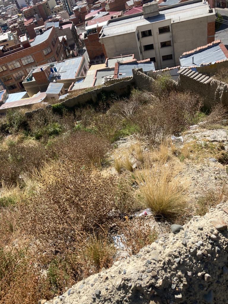 Terreno en San Pedro en La Paz    Foto 6