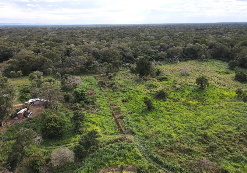 Quinta propiedad agrícola en Zona Nueva Santa Cruz en Santa Cruz de la Sierra    Foto 18