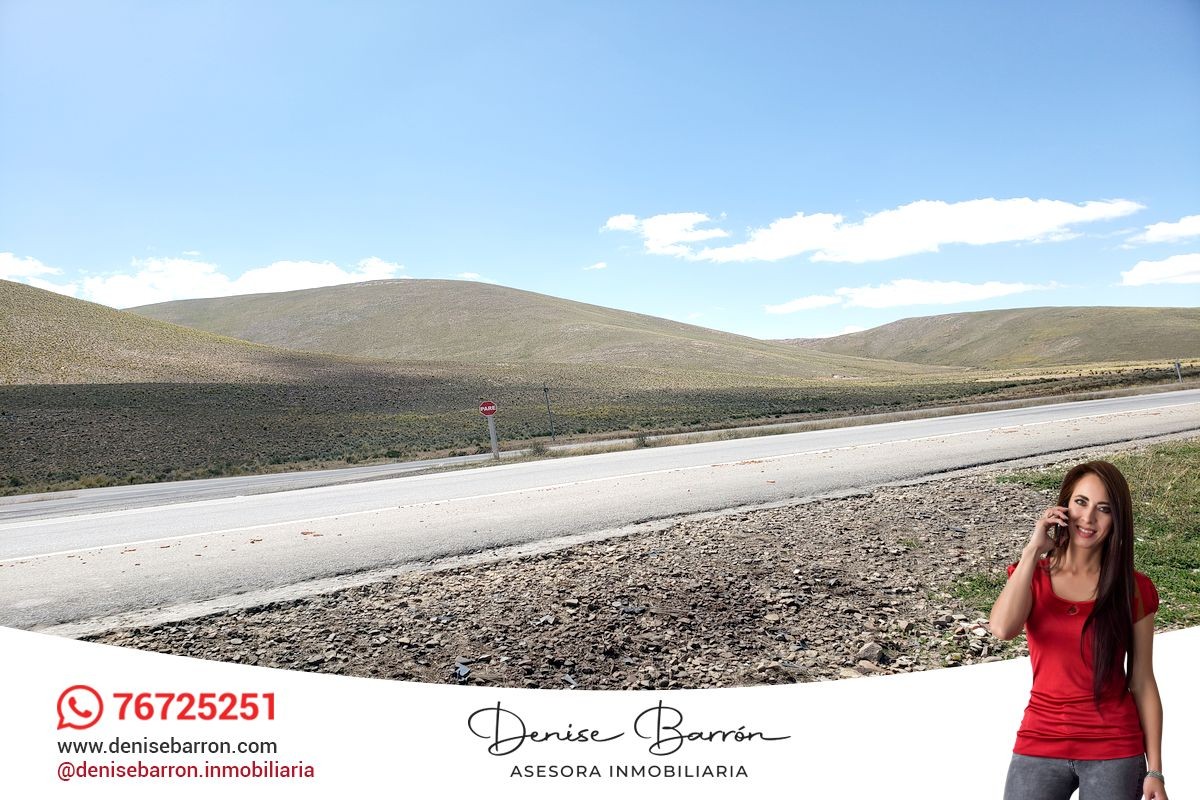 Terreno en VentaCARRETERA LA PAZ - ORURO, TERRENO EN VENTA EN VILA VILA    Foto 11