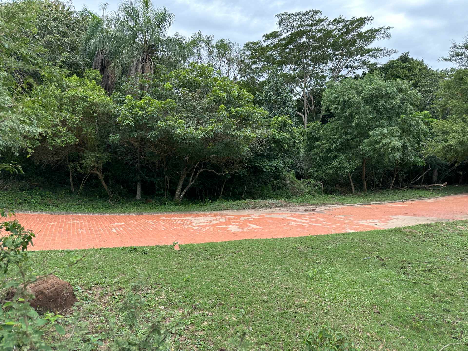 Terreno Santa Anita del Urubó, Condominio Ubicado al Lado de Trejo a 12 Minutos del Puente Mario Foianini Camino a Taromatú.  Foto 7