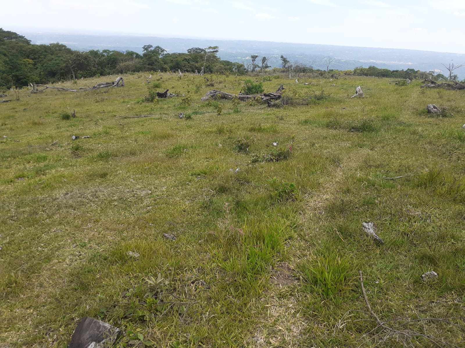 Quinta propiedad agrícola en Doble vía La Guardia en Santa Cruz de la Sierra    Foto 19
