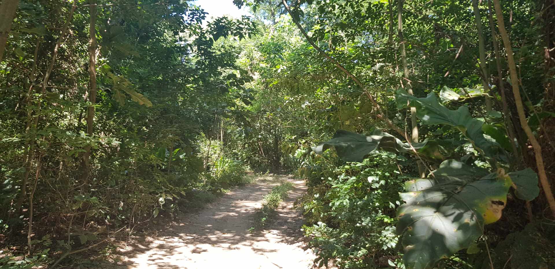 Terreno La Guardia Foto 4