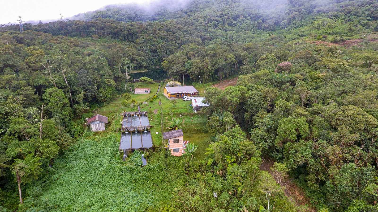 Quinta propiedad agrícola en Villa Tunari (Chapare) en Cochabamba    Foto 6