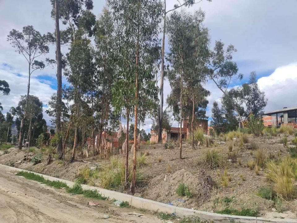 Terreno Achocalla-segunda laguna Foto 5