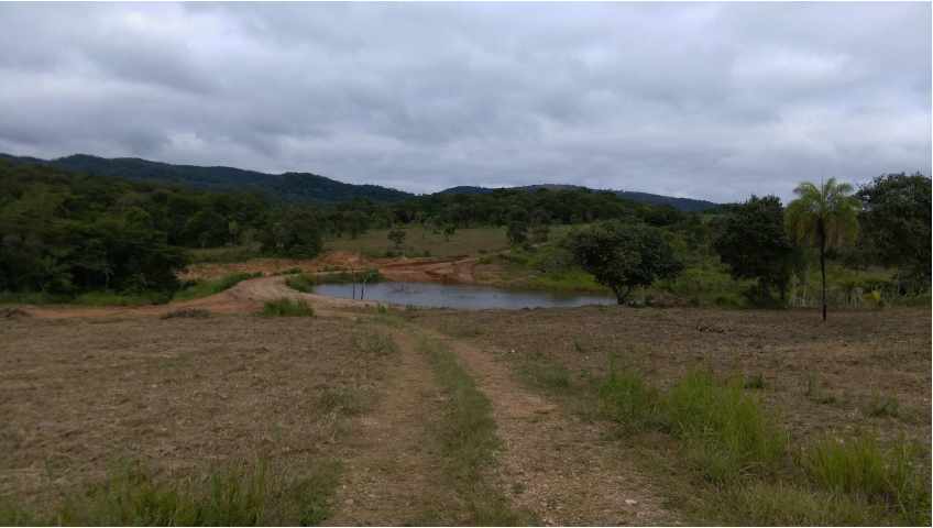 Terreno en VentaPropiedad ganadera en San Javier, 24km al oeste camino hacia El Puente    Foto 13