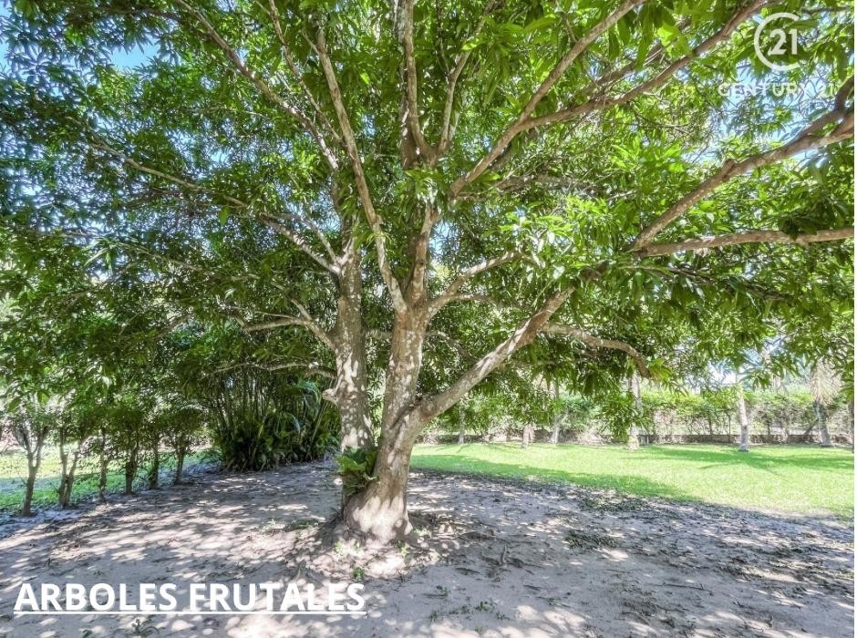 Quinta propiedad agrícola en VentaCarretera a Cotoca    Foto 12