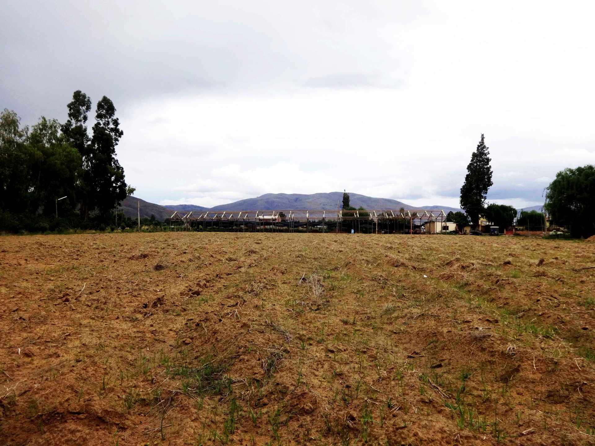 Quinta propiedad agrícola en VentaPunata Foto 24