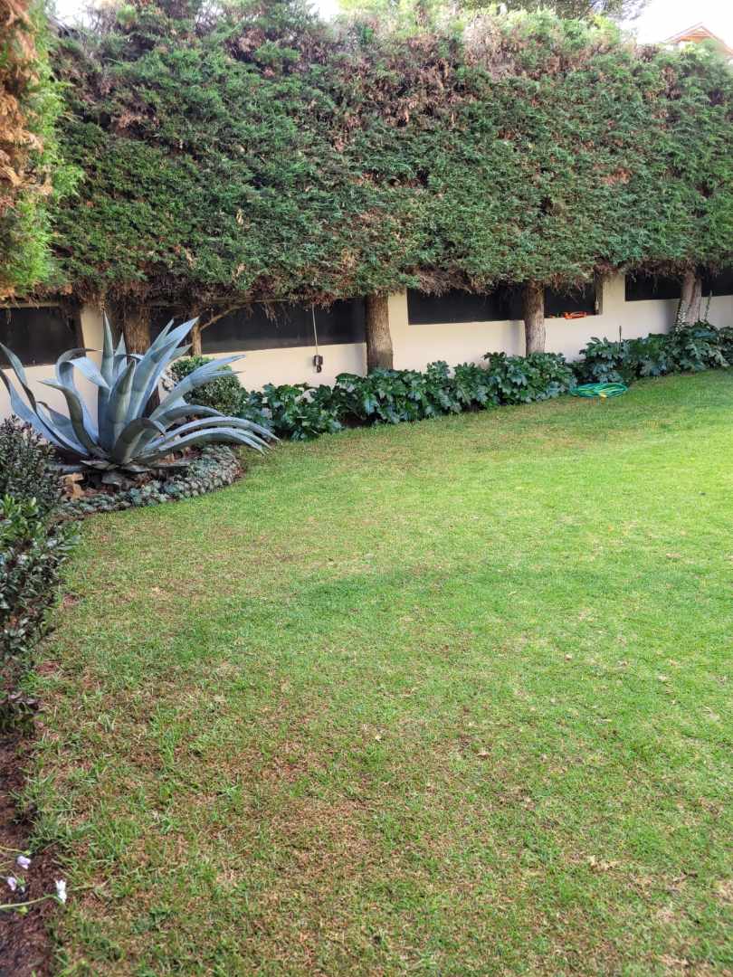 Casa CALACOTO  Foto 28