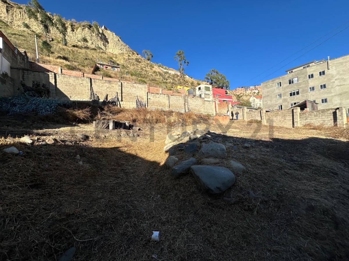 Terreno en AlquilerIRPAVI CALLE PEDRAZA ALTURA C/9 Foto 3