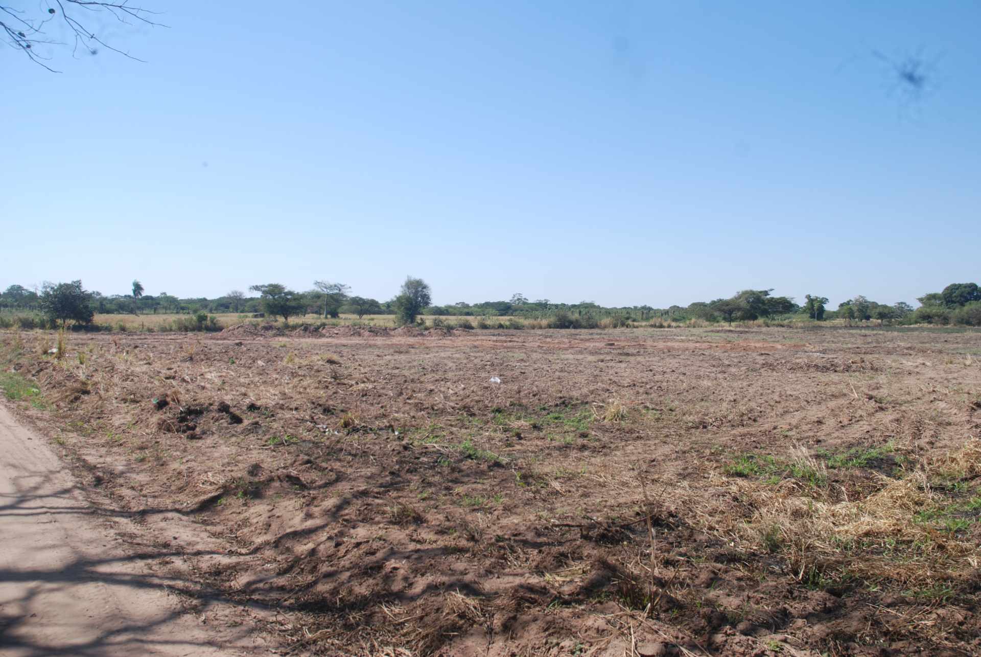 Terreno en VentaCotoca 2do anillo carretera a Pailon, cerca Cofrico Foto 9