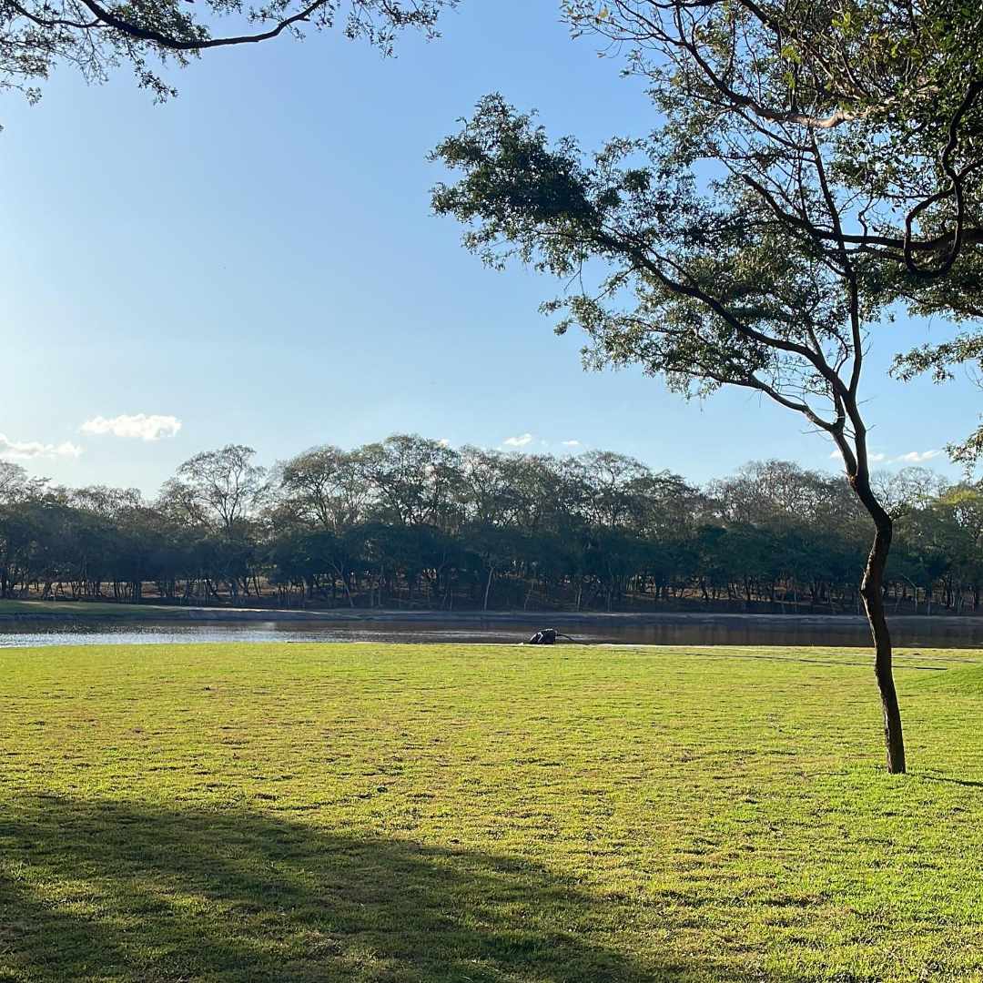 Terreno en Urubó en Santa Cruz de la Sierra    Foto 2